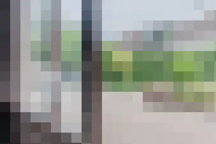 Meerkoetlaan 52 Hoogeveen thumbnail 16