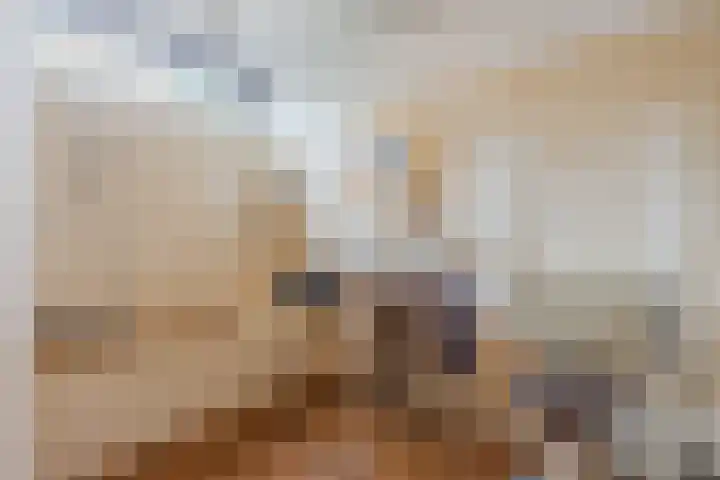 Meerkoetlaan 52 Hoogeveen thumbnail 22