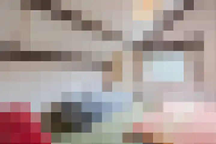 Meerkoetlaan 52 Hoogeveen thumbnail 32