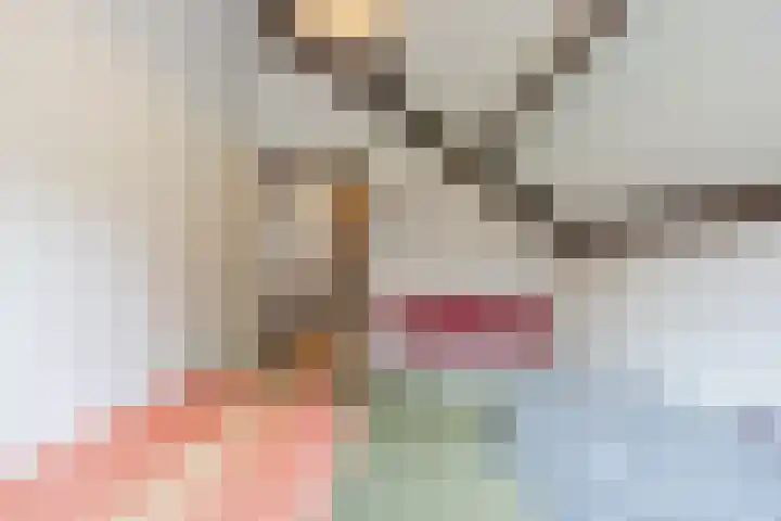 Meerkoetlaan 52 Hoogeveen thumbnail 33