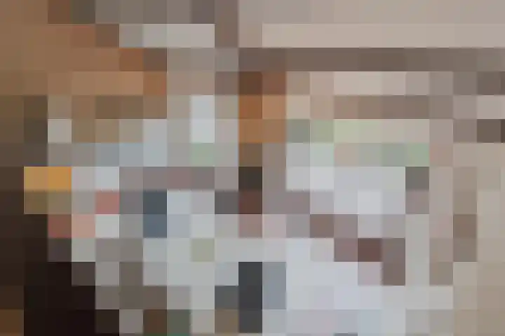 Meerkoetlaan 52 Hoogeveen thumbnail 39
