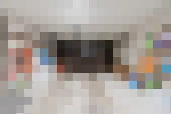Meerkoetlaan 52 Hoogeveen thumbnail 42