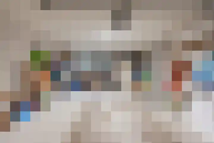 Meerkoetlaan 52 Hoogeveen thumbnail 43