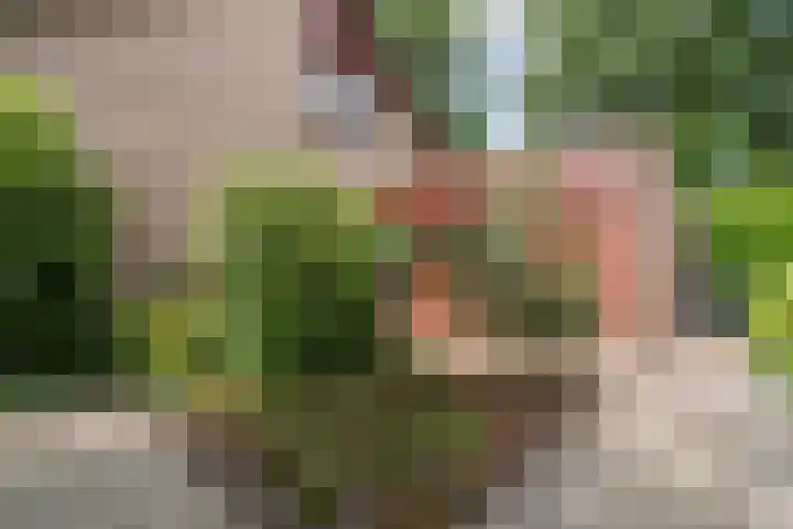 Meerkoetlaan 52 Hoogeveen thumbnail 44