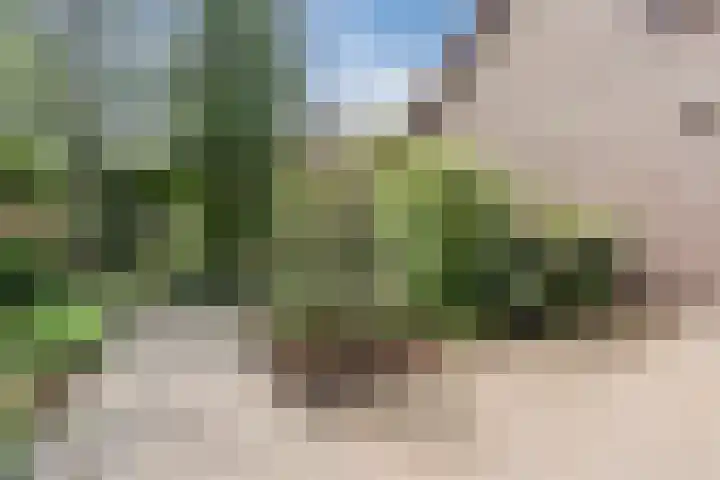 Meerkoetlaan 52 Hoogeveen thumbnail 45