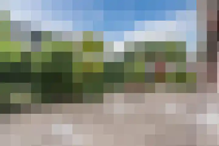 Meerkoetlaan 52 Hoogeveen thumbnail 46