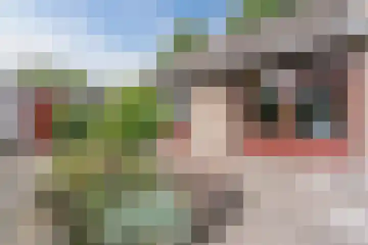 Meerkoetlaan 52 Hoogeveen thumbnail 47
