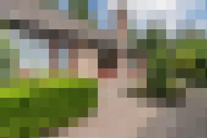 Meerkoetlaan 52 Hoogeveen thumbnail 48