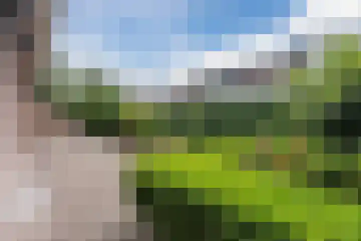 Meerkoetlaan 52 Hoogeveen thumbnail 49