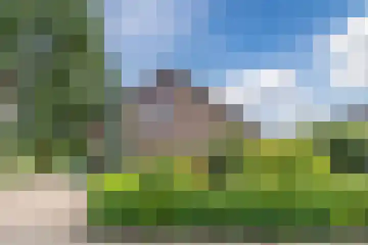 Meerkoetlaan 52 Hoogeveen thumbnail 52