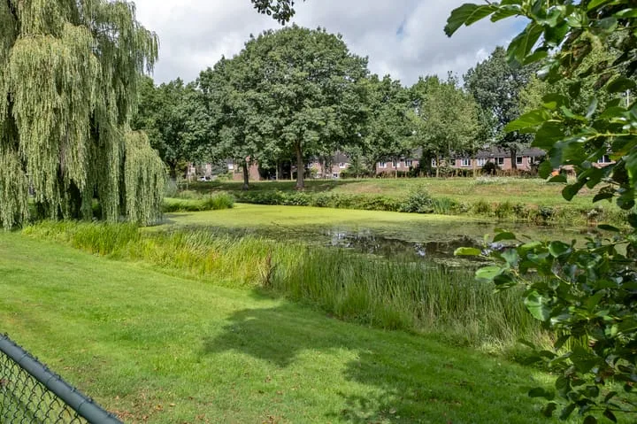 Meerkoetlaan 54 Hoogeveen thumbnail 71