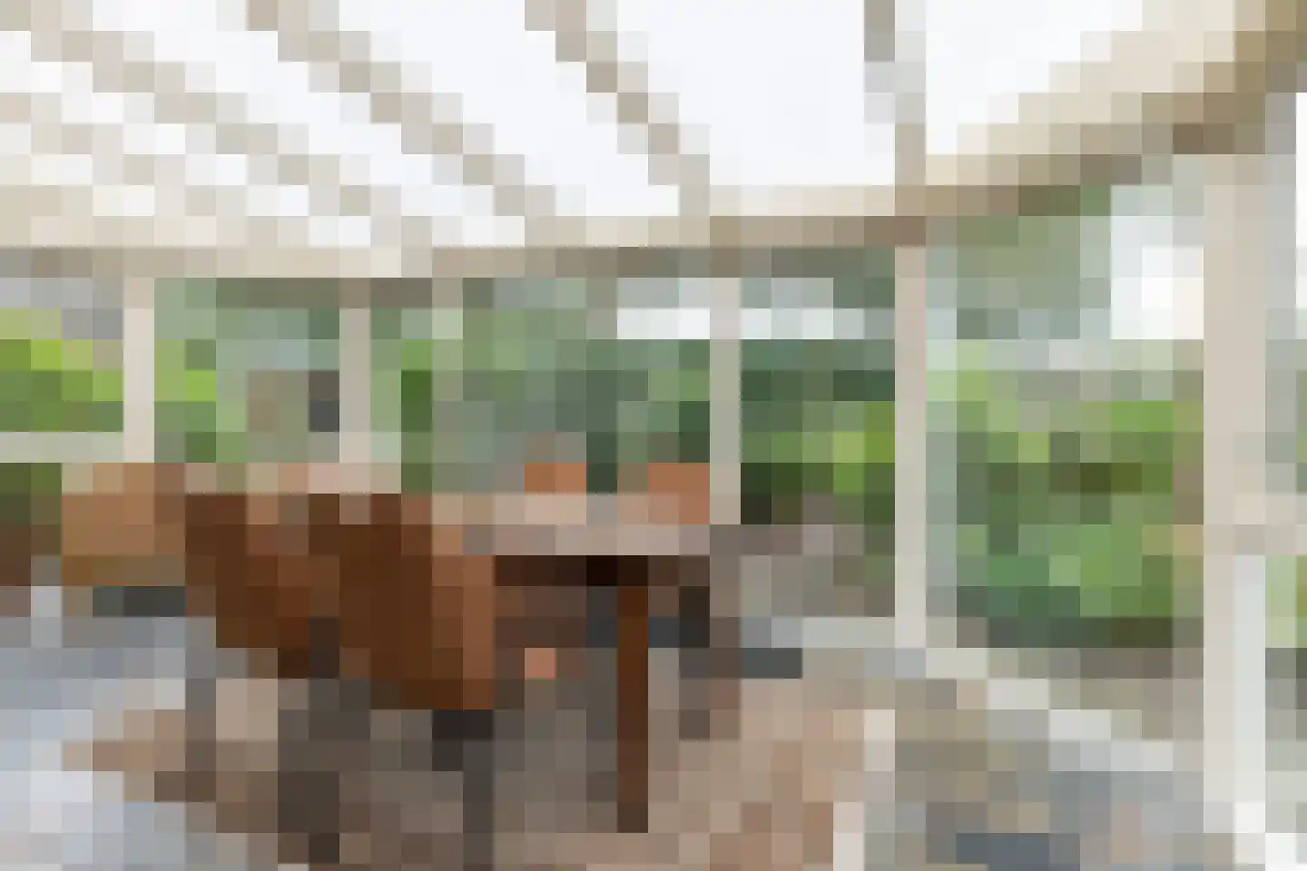 Meerkoetlaan 56 Hoogeveen thumbnail 17