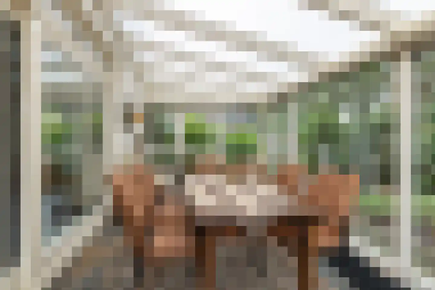 Meerkoetlaan 56 Hoogeveen thumbnail 18