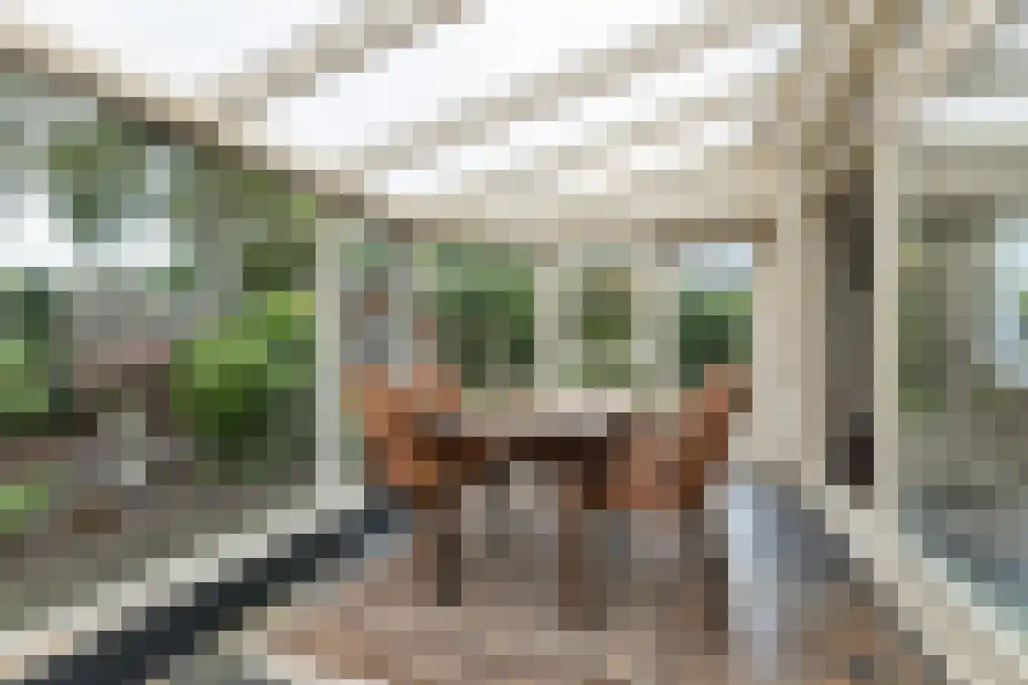 Meerkoetlaan 56 Hoogeveen thumbnail 19