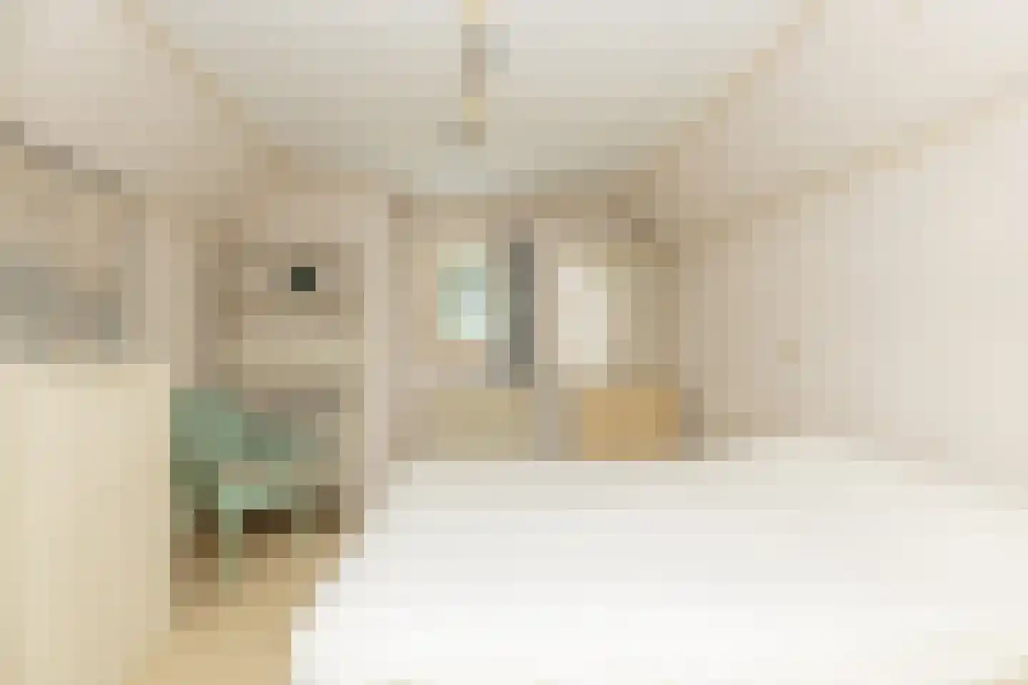 Meerkoetlaan 56 Hoogeveen thumbnail 36