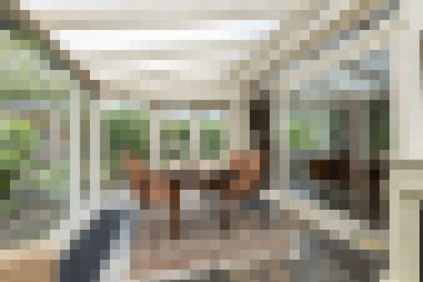 Meerkoetlaan 56 Hoogeveen thumbnail 4