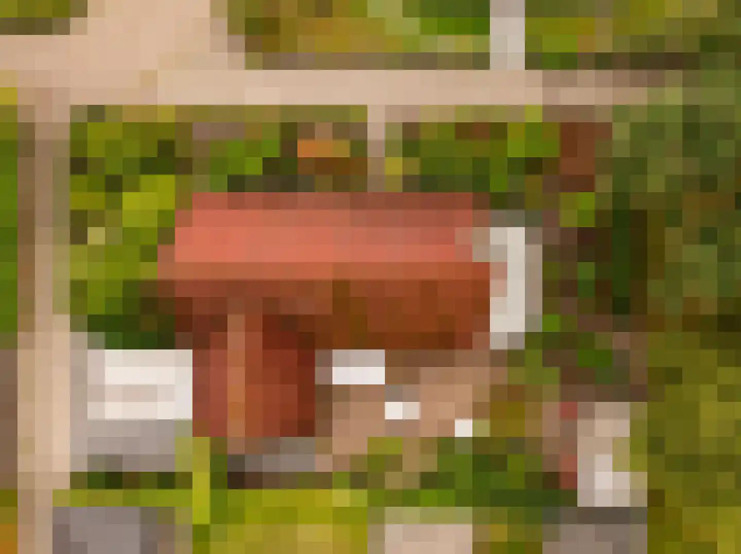 Meerkoetlaan 56 Hoogeveen thumbnail 40