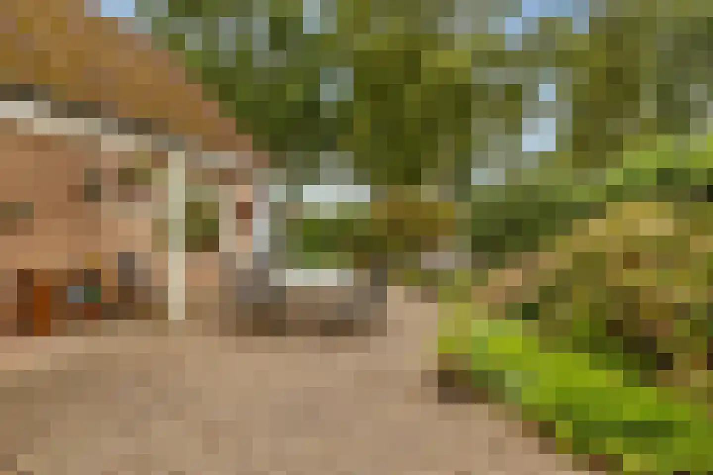 Meerkoetlaan 56 Hoogeveen thumbnail 41