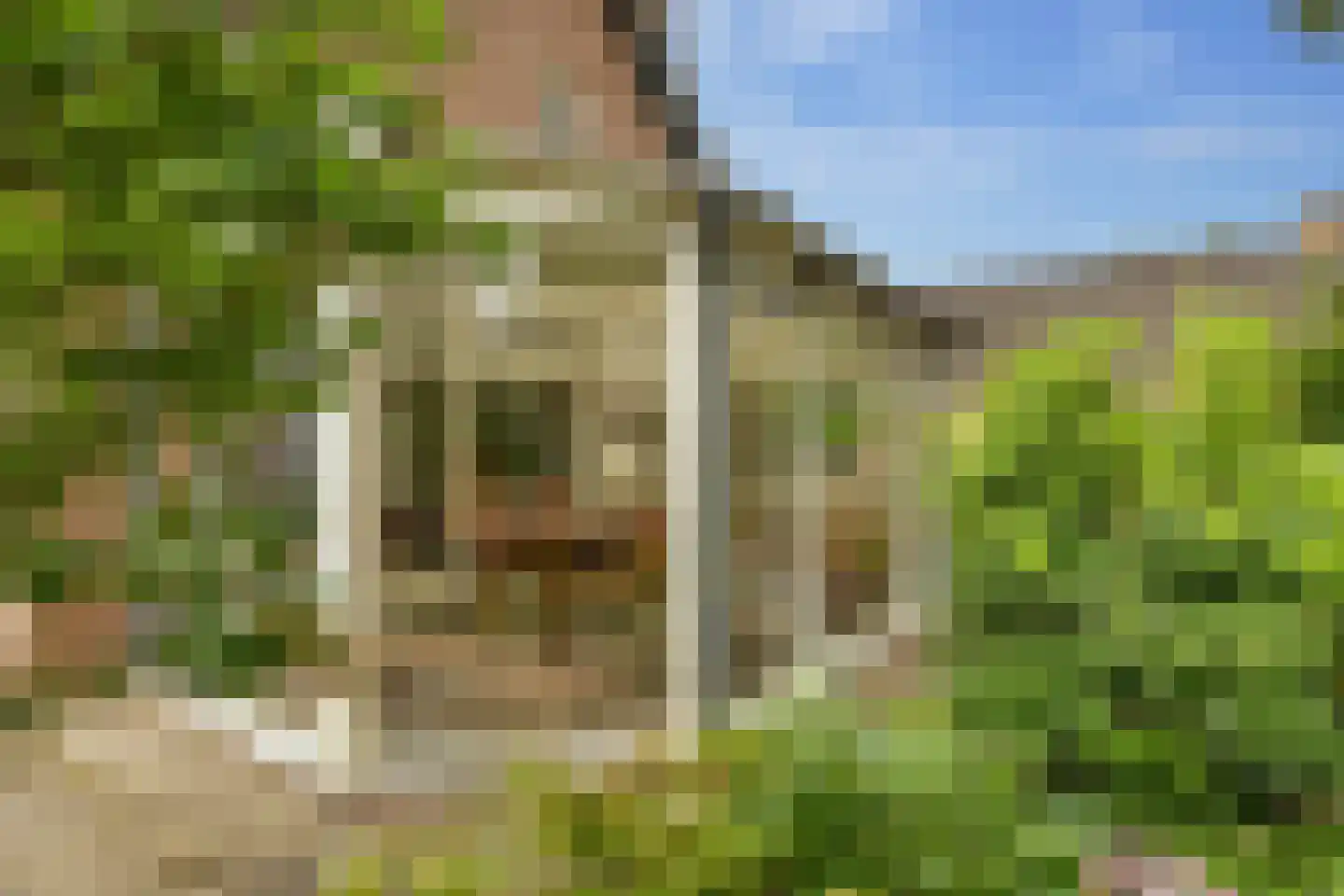Meerkoetlaan 56 Hoogeveen thumbnail 43