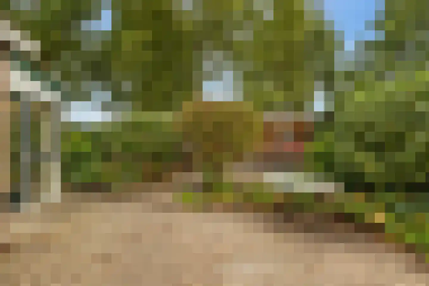 Meerkoetlaan 56 Hoogeveen thumbnail 44