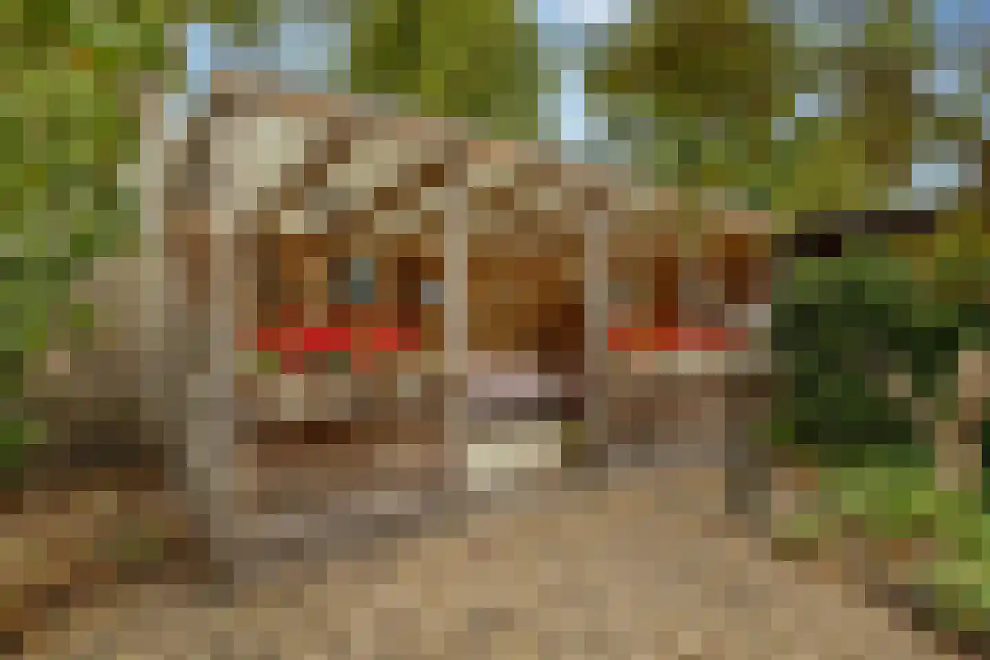 Meerkoetlaan 56 Hoogeveen thumbnail 45