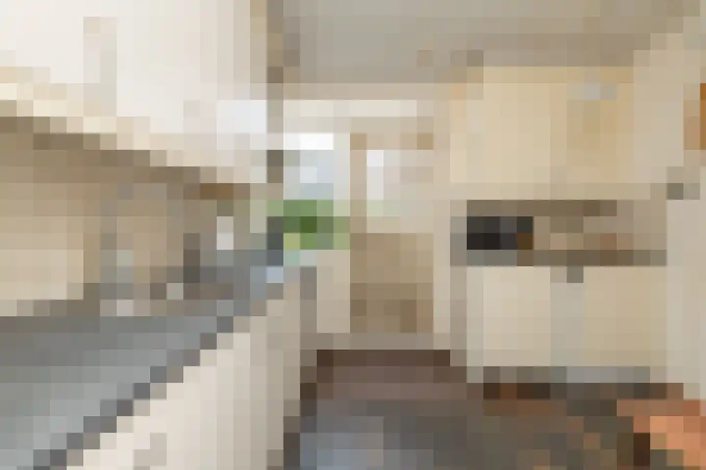Meerkoetlaan 56 Hoogeveen thumbnail 5