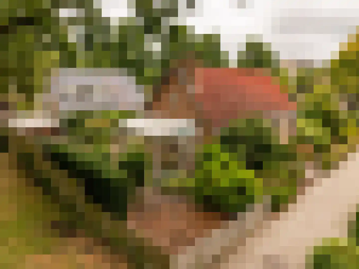 Meerkoetlaan 56 Hoogeveen thumbnail 53