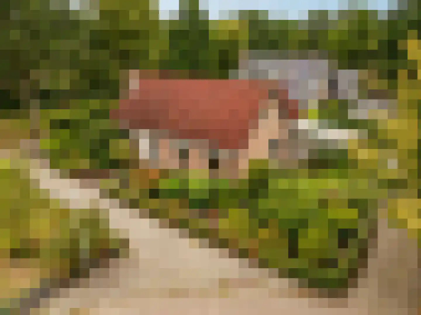 Meerkoetlaan 56 Hoogeveen thumbnail 54