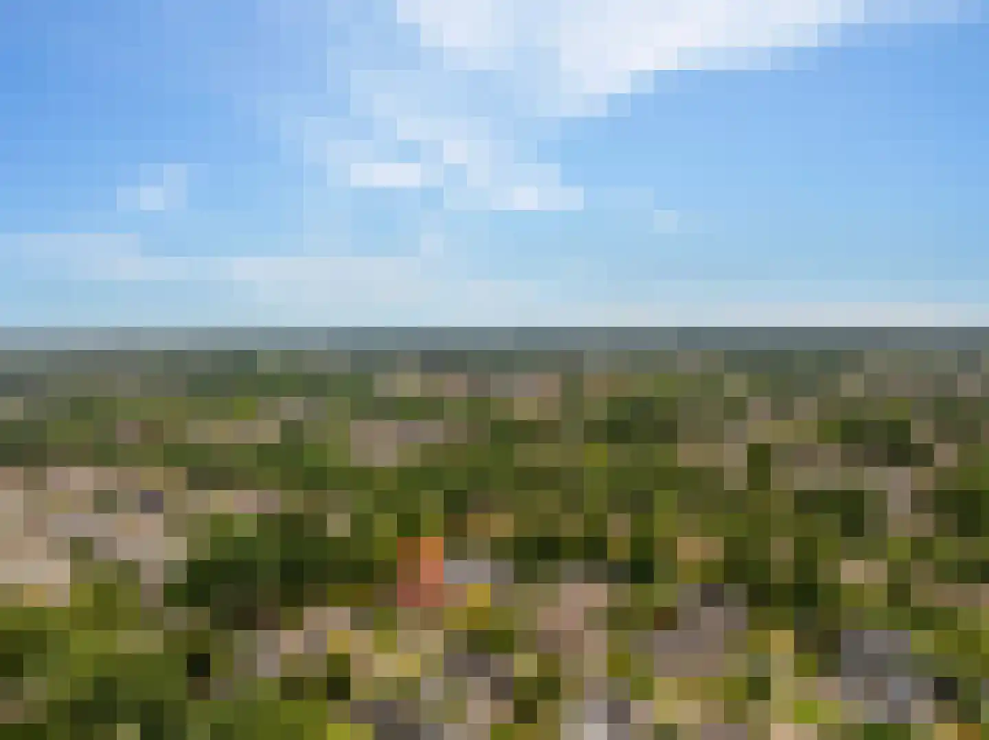 Meerkoetlaan 56 Hoogeveen thumbnail 58