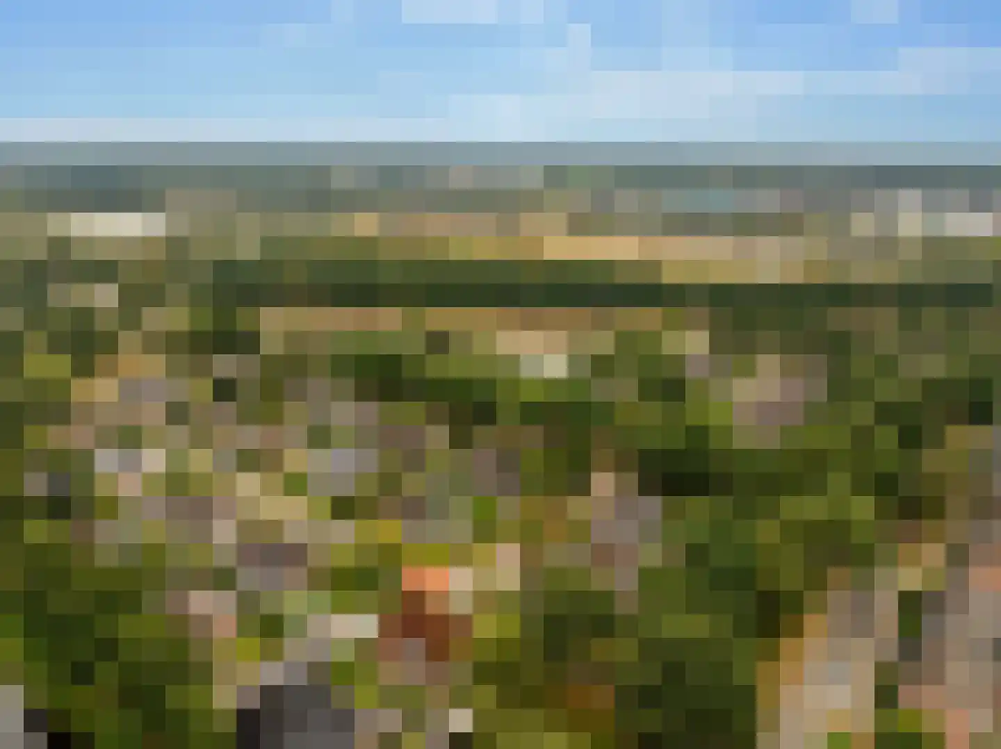 Meerkoetlaan 56 Hoogeveen thumbnail 59