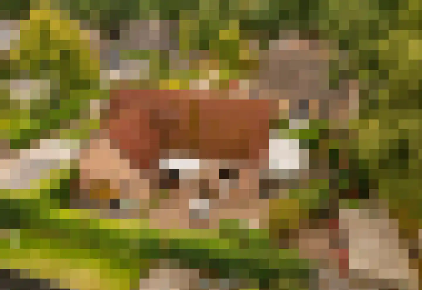 Meerkoetlaan 56 Hoogeveen thumbnail 6