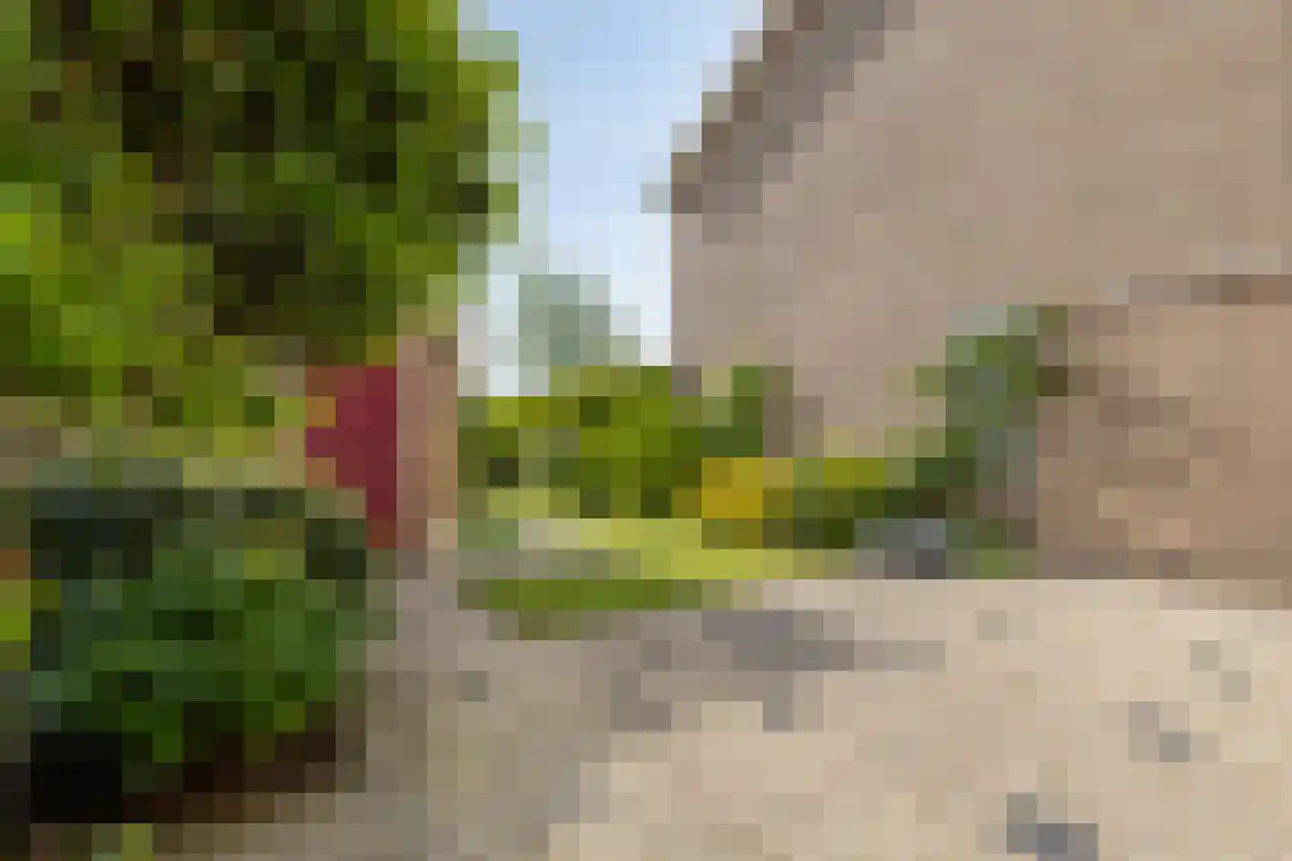 Meerkoetlaan 59 Vinkeveen thumbnail 26