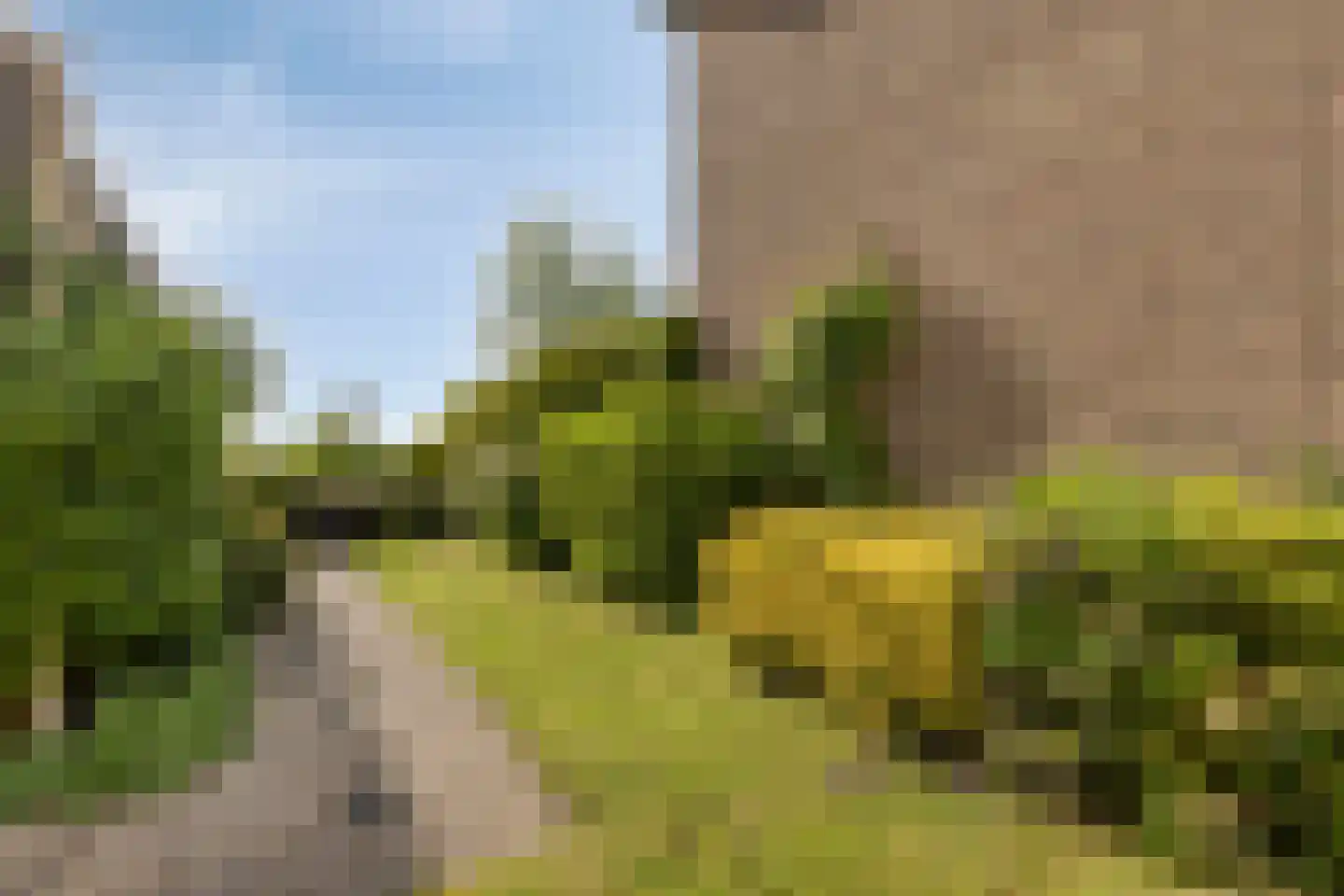 Meerkoetlaan 59 Vinkeveen thumbnail 29