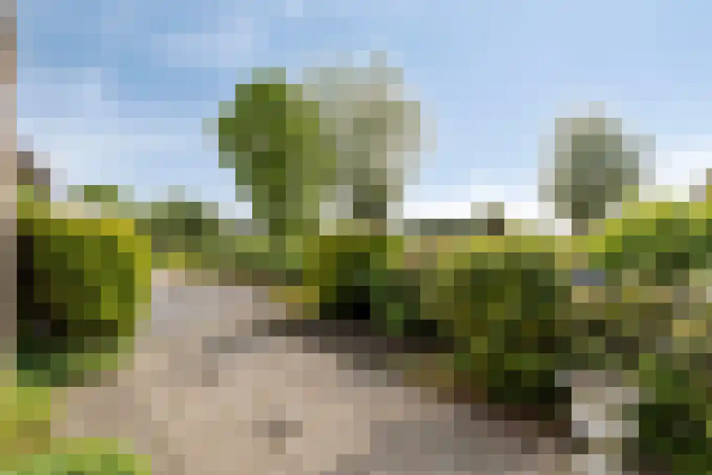 Meerkoetlaan 59 Vinkeveen thumbnail 31