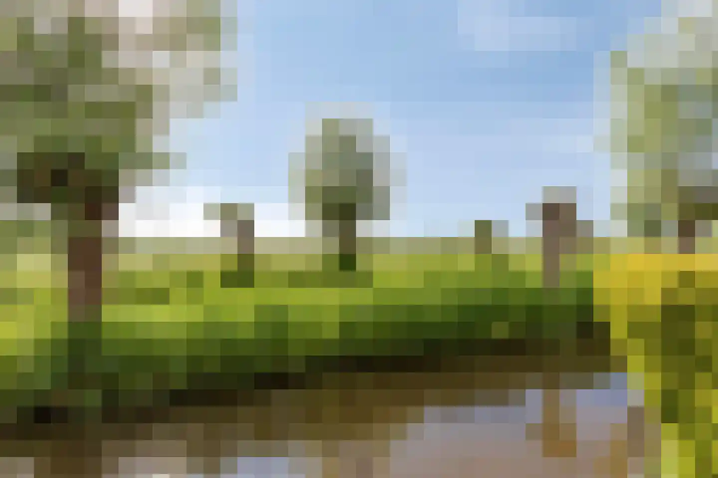 Meerkoetlaan 59 Vinkeveen thumbnail 32