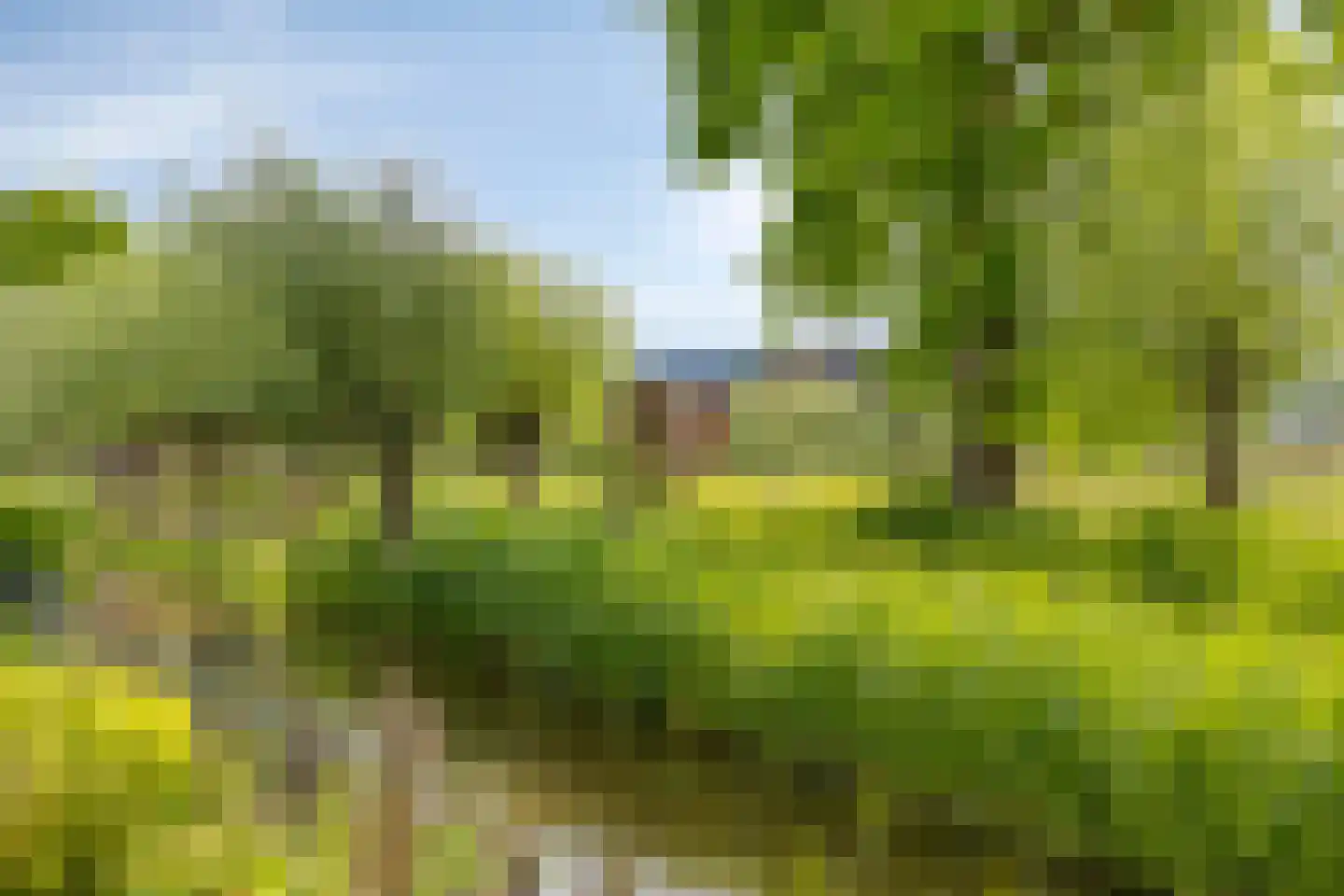 Meerkoetlaan 59 Vinkeveen thumbnail 33
