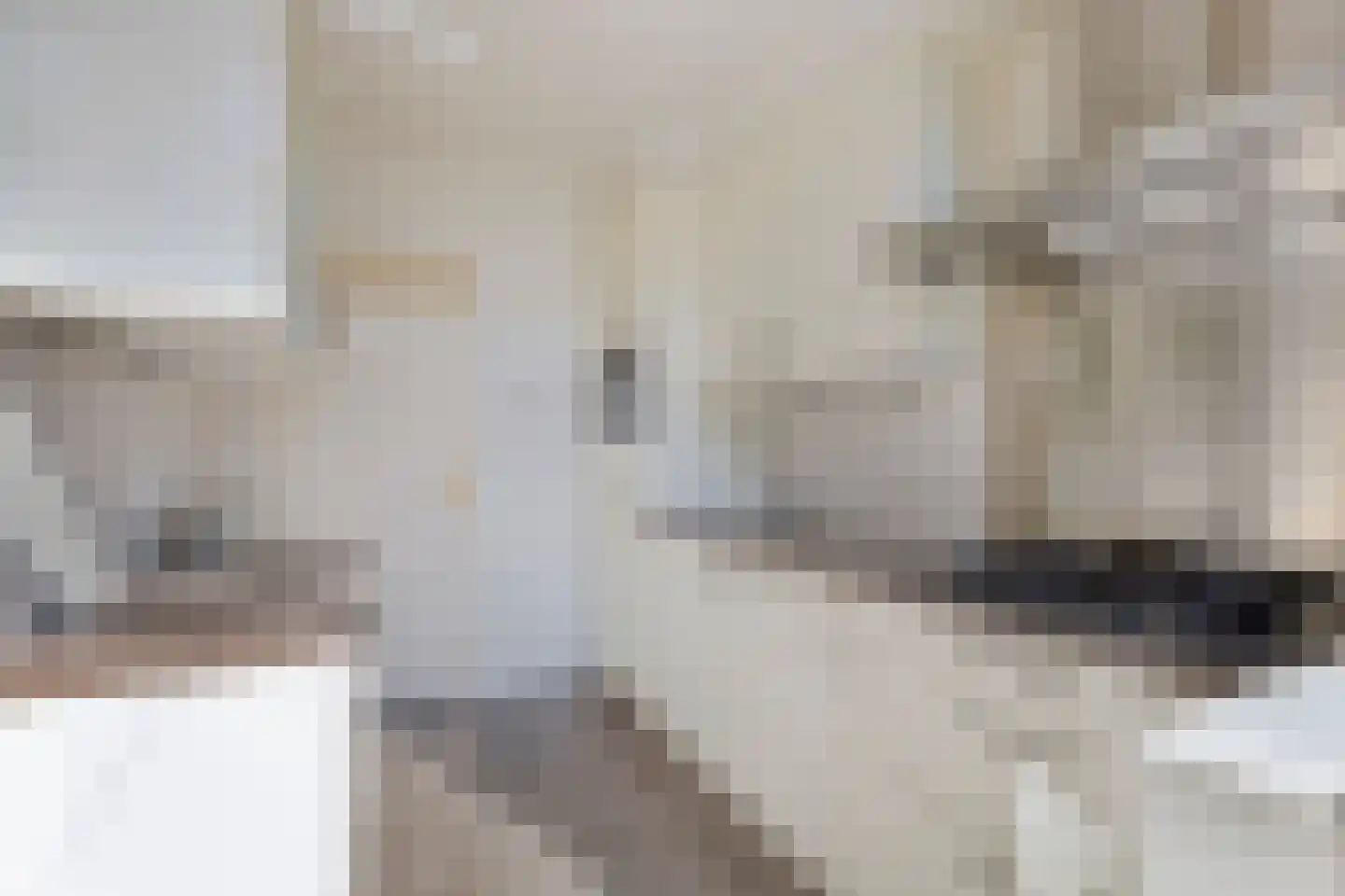 Meerkoetlaan 59 Vinkeveen thumbnail 9