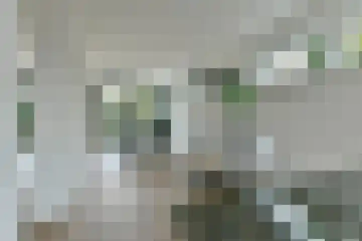 Meerkoetlaan 72 Vinkeveen thumbnail 11