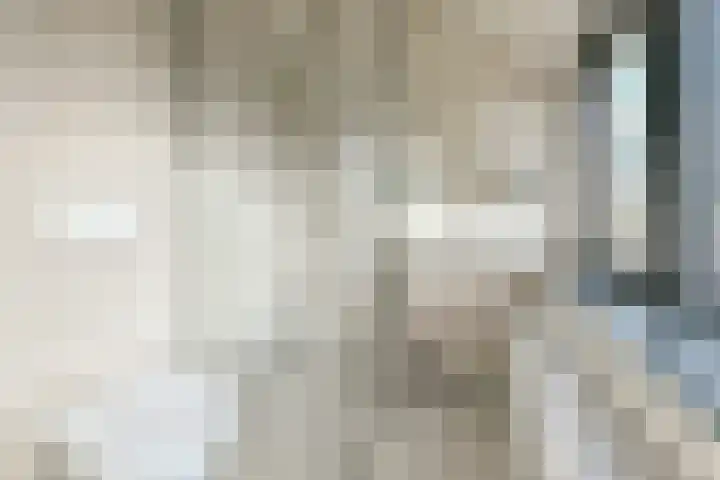 Meerkoetlaan 72 Vinkeveen thumbnail 20