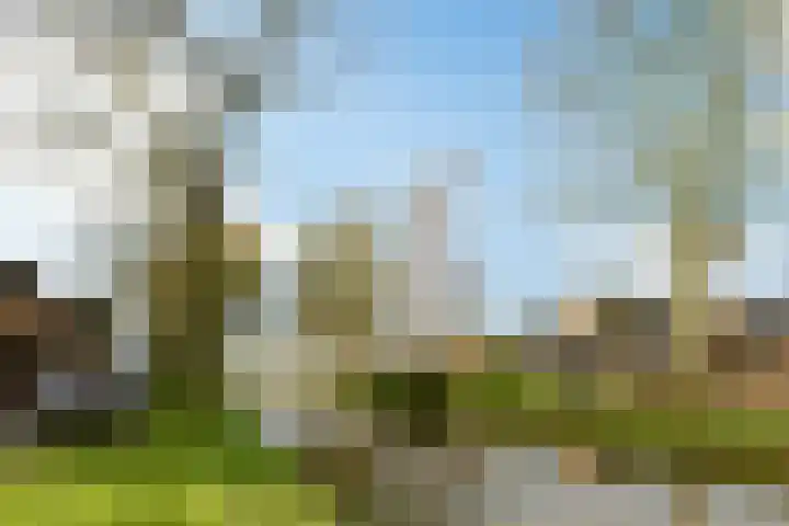 Meerkoetlaan 72 Vinkeveen thumbnail 21