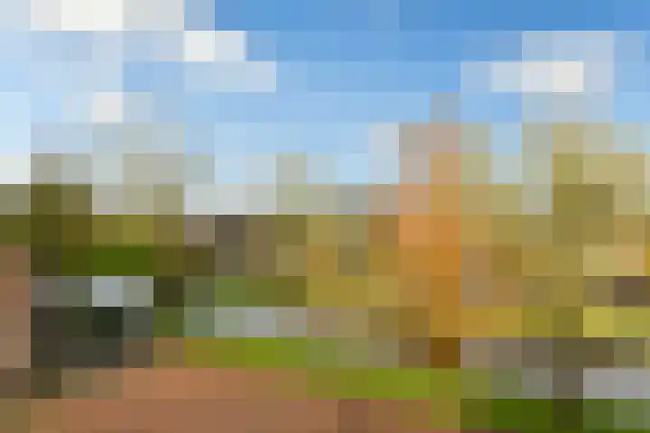 Meerkoetlaan 72 Vinkeveen thumbnail 22