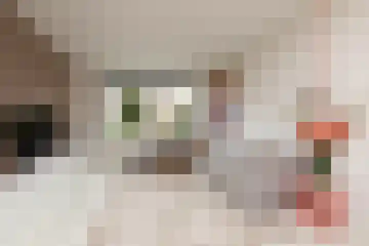Meerkoetlaan 8 Sneek thumbnail 11