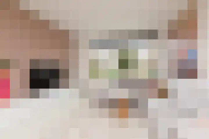 Meerkoetlaan 8 Sneek thumbnail 12