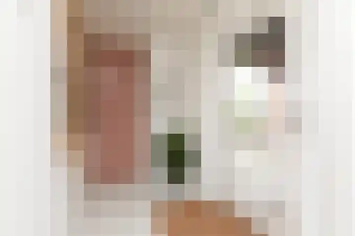Meerkoetlaan 8 Sneek thumbnail 14
