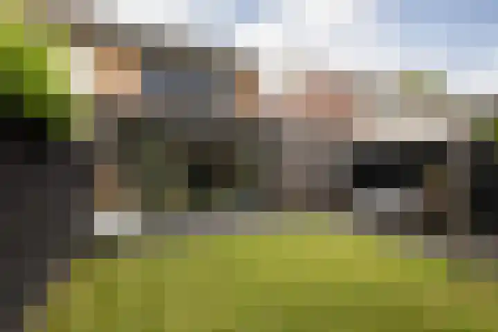 Meerkoetlaan 8 Sneek foto 2