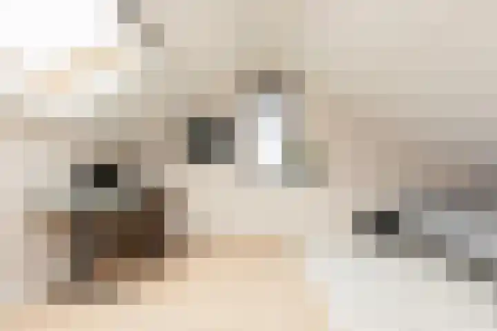 Meerkoetlaan 8 Sneek thumbnail 27