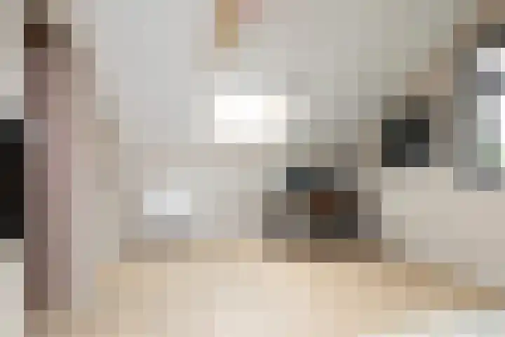 Meerkoetlaan 8 Sneek thumbnail 29