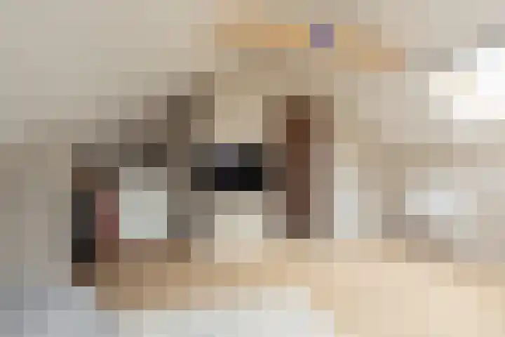 Meerkoetlaan 8 Sneek thumbnail 30