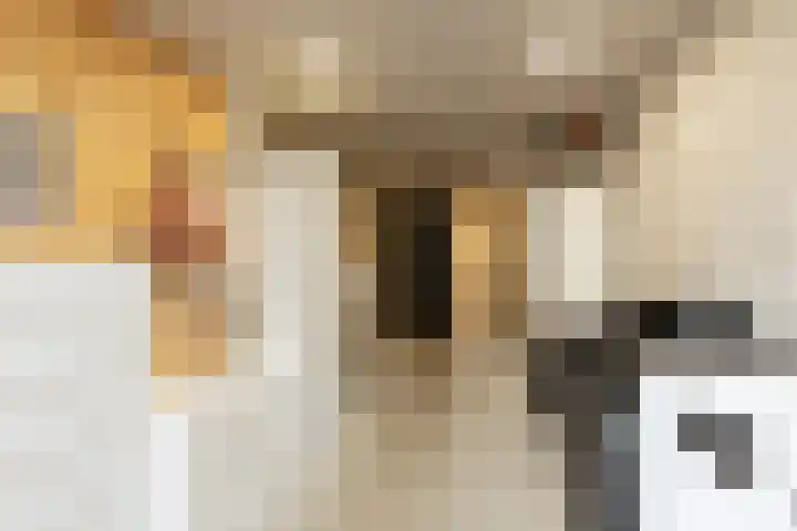 Meerkoetlaan 8 Sneek thumbnail 31