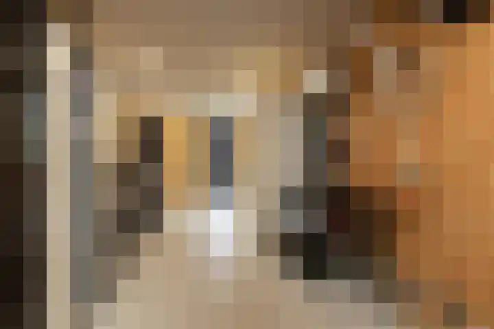 Meerkoetlaan 8 Sneek thumbnail 32